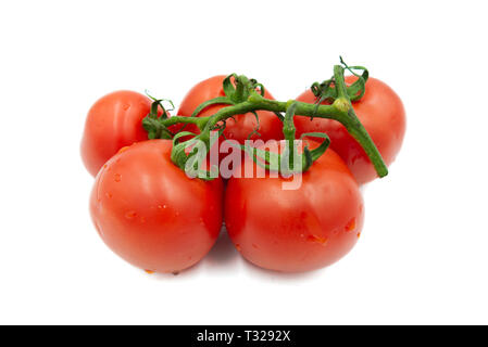 Fünf gewaschene rote reife Tomaten in einem Bündel mit weißem Hintergrund. Stockfoto