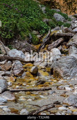 Rinka Falls ist ein Wasserfall im Logar-tal, nördlichen Slowenien Stockfoto
