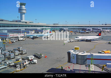 TORONTO, KANADA-26 Mar 2019 - Ansicht der Flugzeuge von Air Canada (AC) am Toronto Pearson International Airport (YYZ), der größten und geschäftigsten Airpor Stockfoto