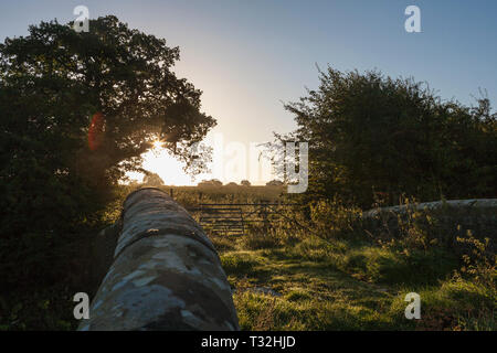 Sonnenaufgang über Landschaft in der Nähe von Audlem, Cheshire, England, von Schnee Brücke, Shropshire Union Canal Stockfoto