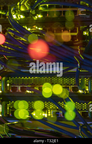 Nahaufnahme der Netzwerkkabel auf Panels in einem Serverraum Stockfoto