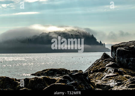 Nebel verschlingt Porcupine Insel an einem sonnigen Morgen in Bar Harbor Maine. Stockfoto