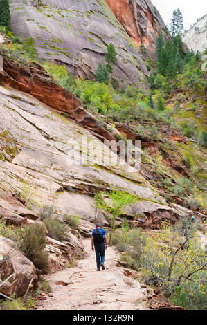 Menschen wandern auf Hidden Canyon Trail im Zion National Park, Utah, USA. Stockfoto