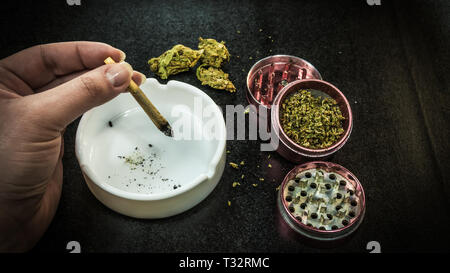 Rauchen Marihuana. Marihuana Knospen, Schleifer und Aschenbecher auf dem Hintergrund. Gemeinsame in der weiblichen Hand Stockfoto