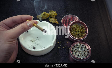 Rauchen Marihuana. Marihuana Knospen, Schleifer und Aschenbecher auf dem Hintergrund. Gemeinsame in der weiblichen Hand Stockfoto