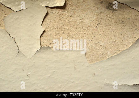 Alte weiße Betonwand, Hintergrund, Textur. Das schäbige, das Zersplittern weiße Farbe aus dem Beton Wand in der Wohnung. Stockfoto
