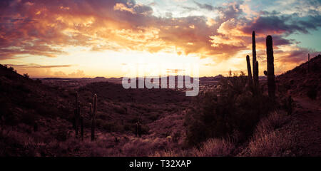 Ein Panorama mit einem Sonnenuntergang in der Wüste außerhalb von Phoenix, AZ. Dieses Bild sieht im Westen mit Saguaro Kaktus und bergige Wüste Gelände. Stockfoto