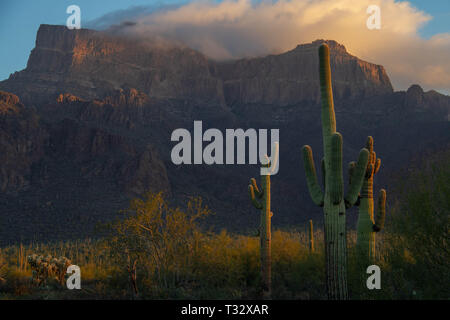 Morgen Bild der Superstition Mountains von Arizona mit einer Wolke über die Berggipfel spiegeln. Stockfoto