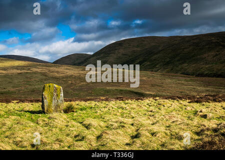 Die Wallace Stein. Dunblane. Schottland Stockfoto