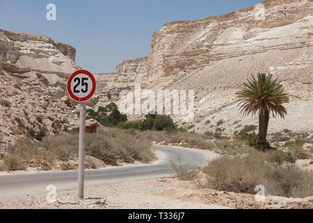 Ein Avdat ist ein Canyon in der Wüste Negev in Israel, südlich des Kibbuz Sde Boker. Archäologische Funde zeigen, dass Ein Avdat bewohnt wurde durch Nabatea Stockfoto