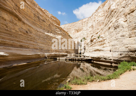 Ein Avdat ist ein Canyon in der Wüste Negev in Israel, südlich des Kibbuz Sde Boker. Archäologische Funde zeigen, dass Ein Avdat bewohnt wurde durch Nabatea Stockfoto