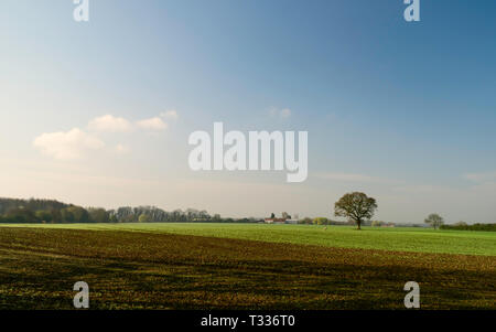 Atmosphärische ländliche Szene mit gepflügten Feldes und Eiche am Horizont in der Morgendämmerung in Beverley, Yorkshire, Großbritannien. Stockfoto
