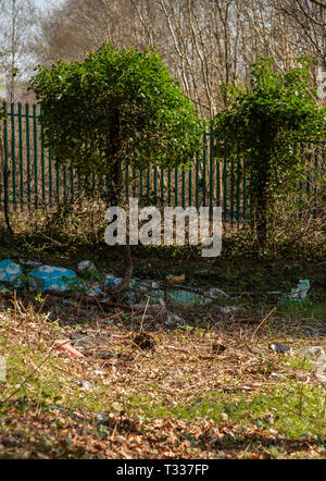 Kunststoff Abgase in den Wald/Wurf fehlt von den Wäldern in Großbritannien Stockfoto