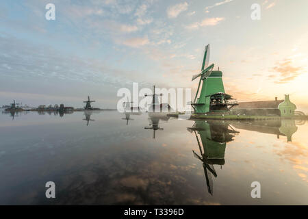 Zanes-Schans. Niederlande. Niederländisch, Mühle bei Sonnenaufgang Stockfoto