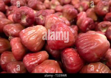 Frisches Wachs Apfel Obst am Marktplatz Stapel Stockfoto