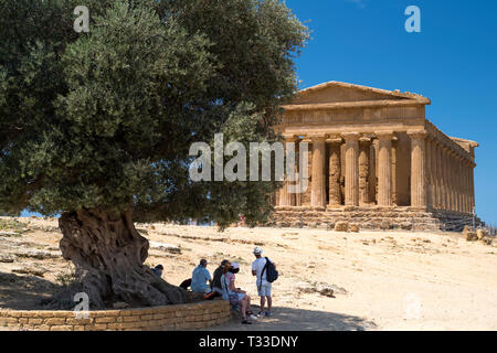 Touristen unter dem alten Olivenbaum von Concordia am Tempel von Concord (Concordia) im Tal der Tempel, Agrigento, Sizilien Stockfoto