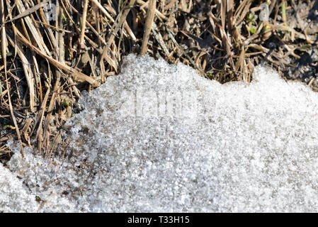 Zusammenfassung Hintergrund von Schnee und Frühling Boden mit trockenem Gras Nahaufnahme Stockfoto