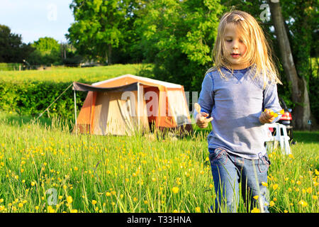 Kleines Mädchen Kommissionierung Butterblumen auf der Wiese am Himmel Bauernhof Campingplatz, Sussex, UK Stockfoto