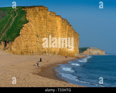 Westbay über die Jurassic Coast in Dorset Südengland Stockfoto