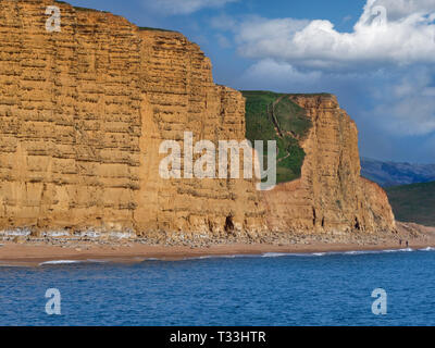 Westbay über die Jurassic Coast in Dorset Südengland Stockfoto