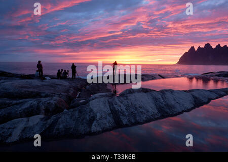 Landschaftsfotografen bei Tungeneset Sicht in der Mitternachtssonne mit Blick über Steinsfjord und Okshornan Ersfjord zu Bergen auf Senja Norwegen Stockfoto