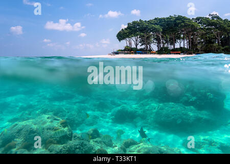 Über - unter Ansicht von einem tropischen Strand mit üppigen tropischen Baum und Sonnenlicht auf sandigen Meeresboden unterhalb der Wasseroberfläche, Andamanen und Nikobaren. Neil, Havelo Stockfoto