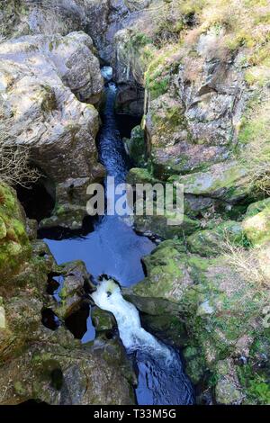 Rheidol Fluss durch Rheidol gorge Mid Wales Cymru Großbritannien fließt Stockfoto