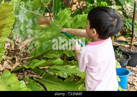 Kinder sind Bewässerung von Pflanzen mit Gummischlauch in den Garten. Stockfoto