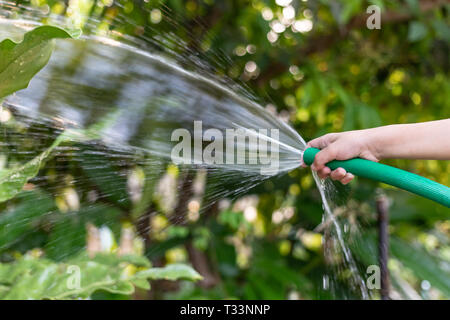 Kinder sind Bewässerung von Pflanzen mit Gummischlauch in den Garten. Stockfoto