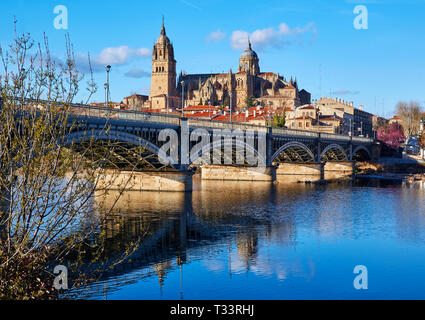 Skyline der neuen Kathedrale (Dom Nueva) und den Fluss Tormes in der Altstadt von Salamanca. Stockfoto