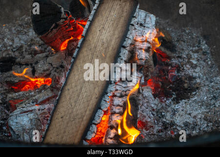Burning Tree Protokolle auf einem offenen Feuer Stockfoto