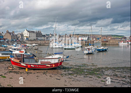 Boote gebunden bei Ebbe in Stonehaven Hafen, Aberdeenshire, Schottland. Großbritannien Stockfoto