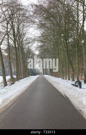 Winter in den Niederlanden Stockfoto