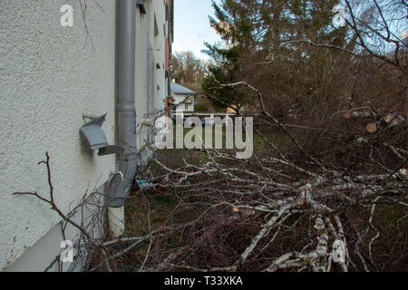 Entwurzelte Baum fiel auf ein Haus nach einem schweren Sturm mit dem Namen Eberhard, München Stockfoto