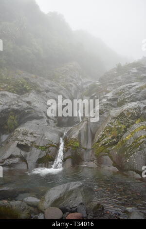 Schmale Wasserfall im Nebel, auf der Wilkies Pools Spaziergang in Egmont National Park, New Plymouth Stockfoto