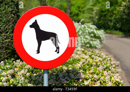 Niederländische Verkehrszeichen verboten mit Hunden in diesem Bereich zu gehen Stockfoto