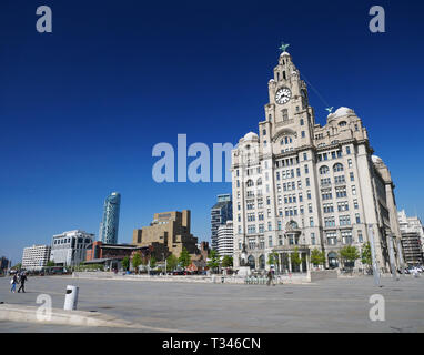 Das Royal Liver Building in Liverpool UNESCO Waterfront. Stockfoto