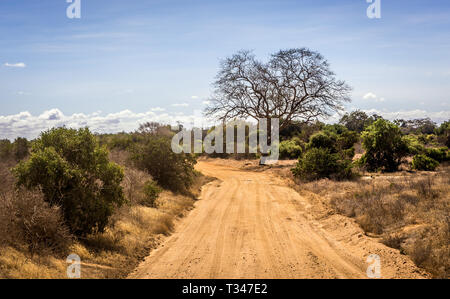 Erstaunlich Savannah ebenen Landschaft und Safari in Kenia Stockfoto