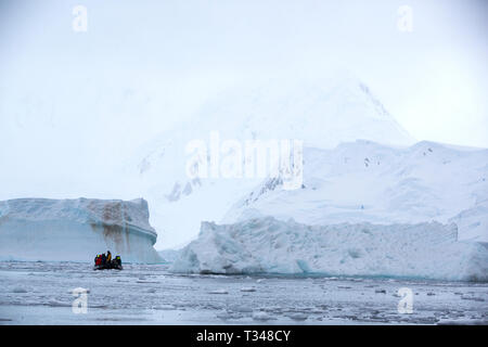 Zodiacs aus der Antarktis Kreuzfahrt Schiff Touristen nehmen um Eisberge aus Anvers Island, in der Palmer Archipel, Antarktis. Stockfoto