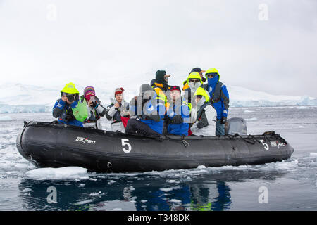 Zodiacs aus der Antarktis Kreuzfahrt Schiff Touristen nehmen um Eisberge aus Anvers Island, in der Palmer Archipel, Antarktis. Stockfoto