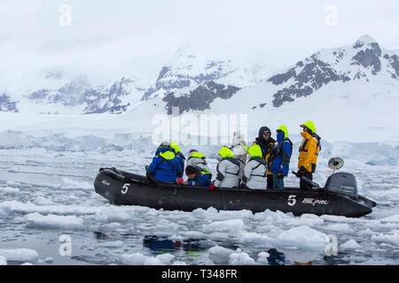 Zodiacs aus der Antarktis Kreuzfahrt Schiff Touristen nehmen um Eisberge aus Anvers Island, in der Palmer Archipel, Antarktis. Stockfoto