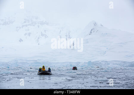 Zodiacs aus der Antarktis Kreuzfahrt Schiff Touristen nehmen um Eisberge aus Anvers Island, in der Palmer Archipel, Antarktis. Stockfoto