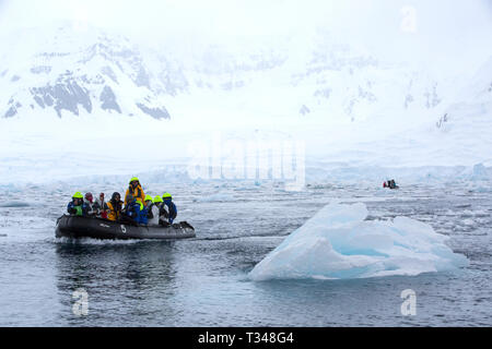 Zodiacs aus der Antarktis Kreuzfahrt Schiff Touristen nehmen um Eisberge aus Anvers Island, in der Palmer Archipel, Antarktis. Stockfoto