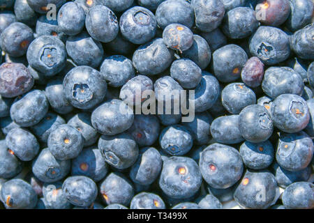Frische organische reife Heidelbeeren in einem Korb, auf einem Markt, in der Nähe Stockfoto