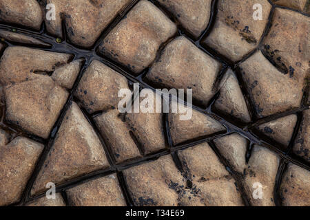 Kanäle, die durch Meerwassererosion auf der Oberfläche von Felsen in der Kimmeridge Bay in Dorset, Großbritannien entstanden sind und ein natürliches Muster erzeugen. Stockfoto