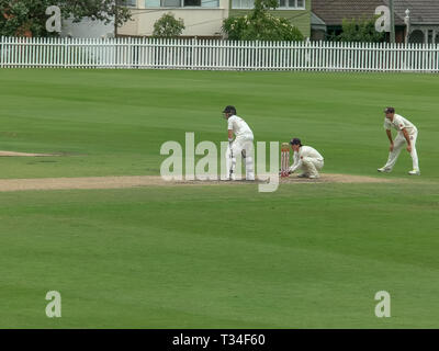 SYDNEY, AUSTRALIEN - 31. JANUAR 2016: Fielding im mittleren Wicket in einem Spiel des Krickets Stockfoto