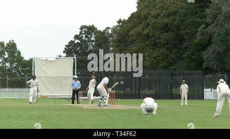 SYDNEY, AUSTRALIEN - 31. JANUAR 2016: batsman spielt eine Fahrt Schuß in einem Spiel Cricket Stockfoto