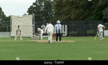 SYDNEY, AUSTRALIEN - 31. JANUAR 2016: Low Angle View eines Batsman vor einem spin Bowler in einem Sydney Cricket Spiel Stockfoto