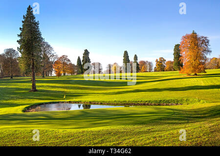 Der Sonnenschein des frühen Herbstes beleuchtet einen englischen Park mit goldenen Bäumen und einem stillen See, der die frische Morgenruhe widerspiegelt. Stockfoto