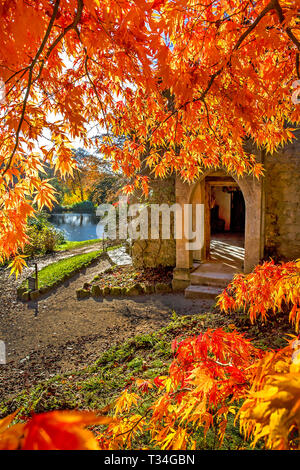 Ein Japanischer Ahorn Baum im Herbst neben dem alten Cottage in Stourhead Gardens in Wiltshire. Stockfoto